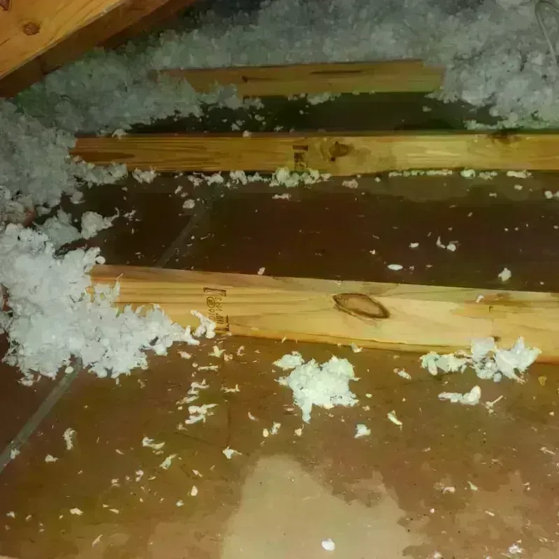 Attic Water Damage in Yucaipa, CA