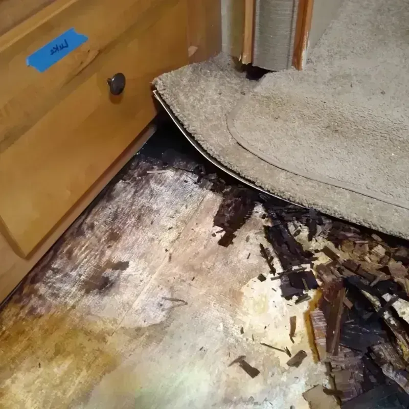 Best Wood Floor Water Damage Service in Yucaipa, CA